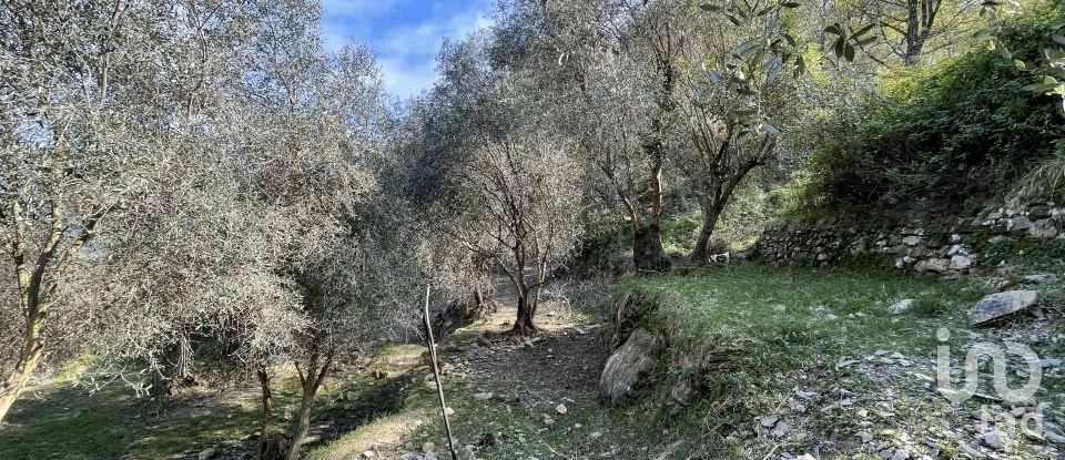 Terreno di 3.919 m² in Cipressa (18017)
