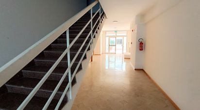 Trilocale di 62 m² a San Nicola Arcella (87020)