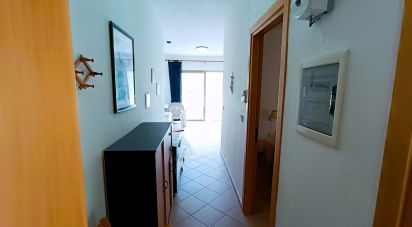 Trilocale di 62 m² a San Nicola Arcella (87020)