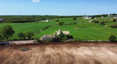 Horses property 5 rooms of 156 m² in Martina Franca (74015)