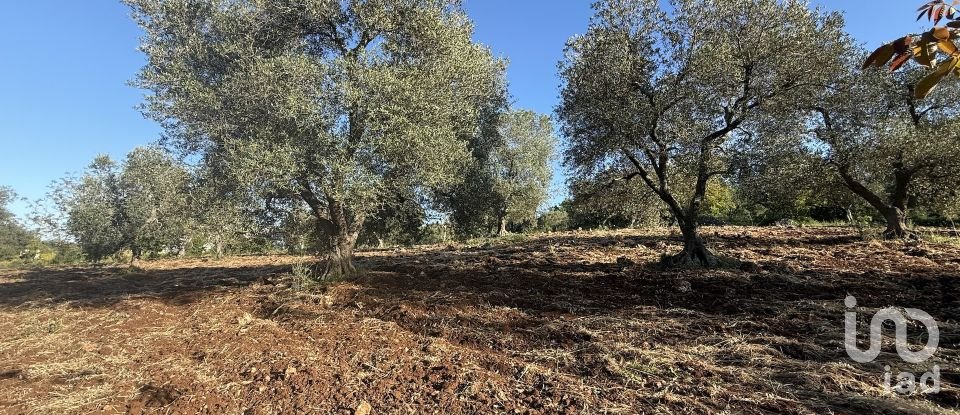 Trullo 8 locali di 190 m² in Ceglie Messapica (72013)