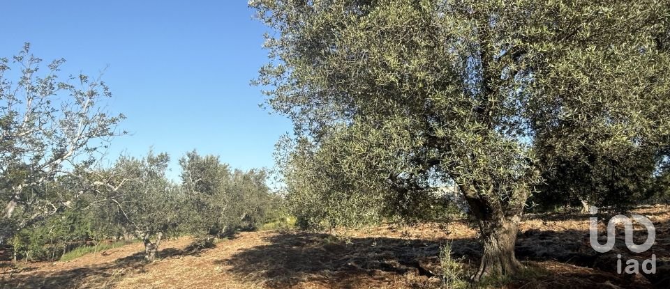 Trullo 8 locali di 190 m² in Ceglie Messapica (72013)