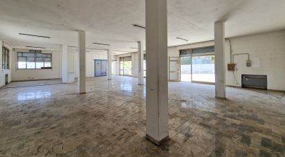 Negozio / locale commerciale di 240 m² in Monte Urano (63813)