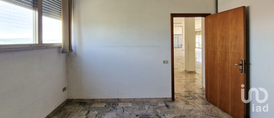 Negozio / locale commerciale di 240 m² in Monte Urano (63813)