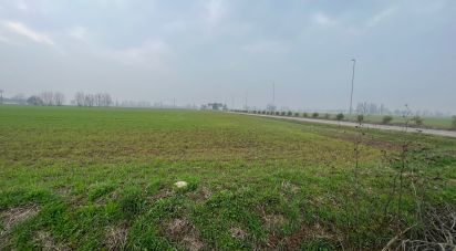 Terreno di 5.000 m² in Rodigo (46040)