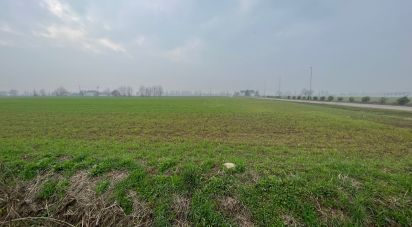 Terreno di 5.000 m² in Rodigo (46040)