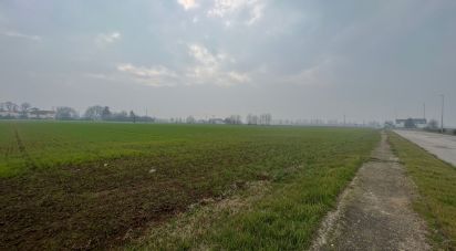 Terreno di 5.000 m² in Rodigo (46040)