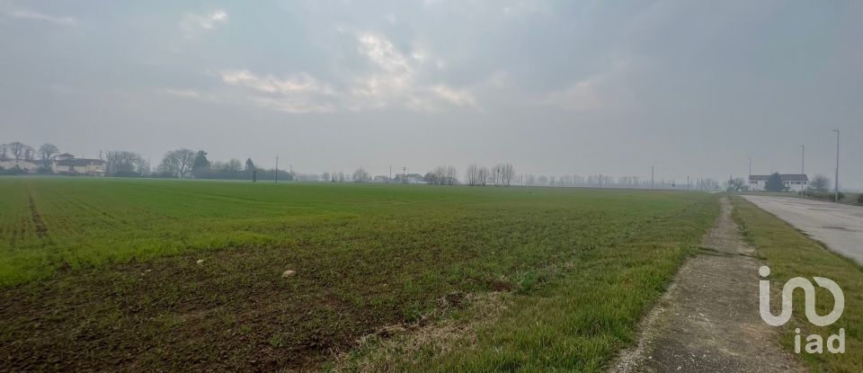 Terreno di 5.000 m² in Rodigo (46040)