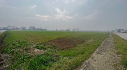 Terreno di 5.000 m² in Rodigo (46040)