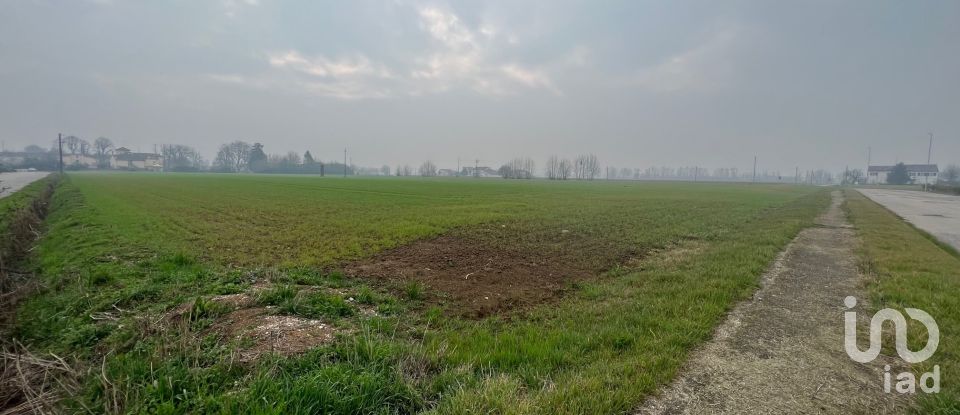 Terreno di 5.000 m² in Rodigo (46040)