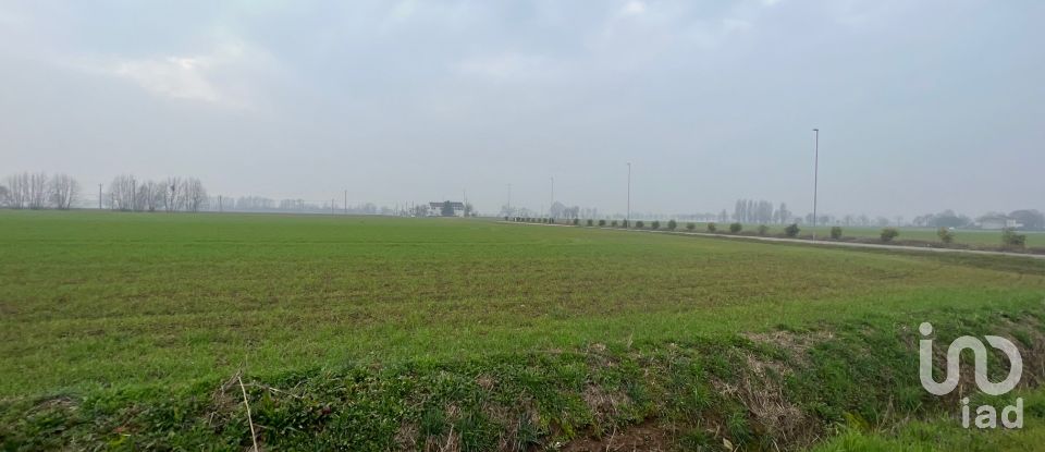 Terreno di 5.000 m² in Rodigo (46040)