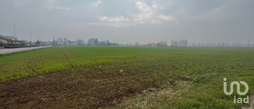 Terreno di 5.000 m² in Rodigo (46040)