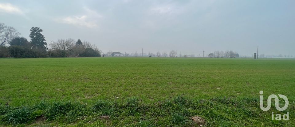 Terreno di 5.000 m² in Rodigo (46040)
