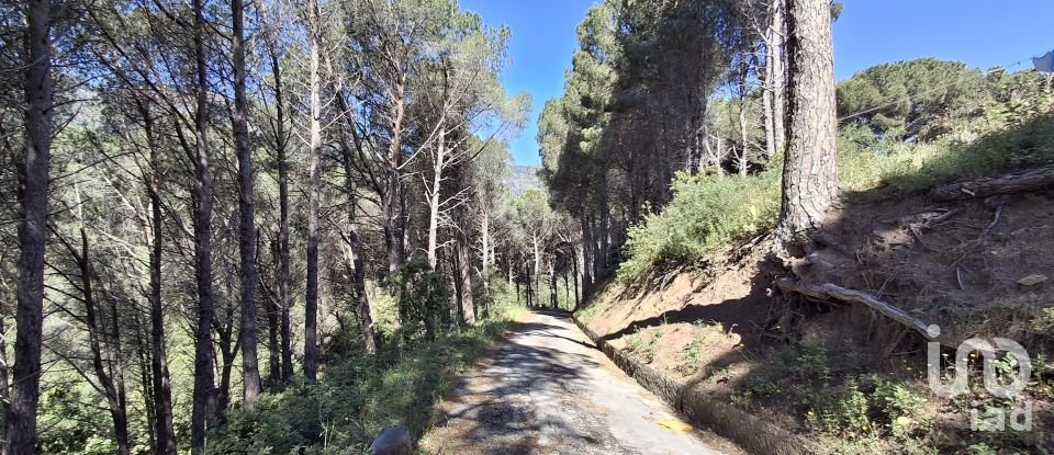 Casa indipendente 5 locali di 184 m² in Cefalù (90015)