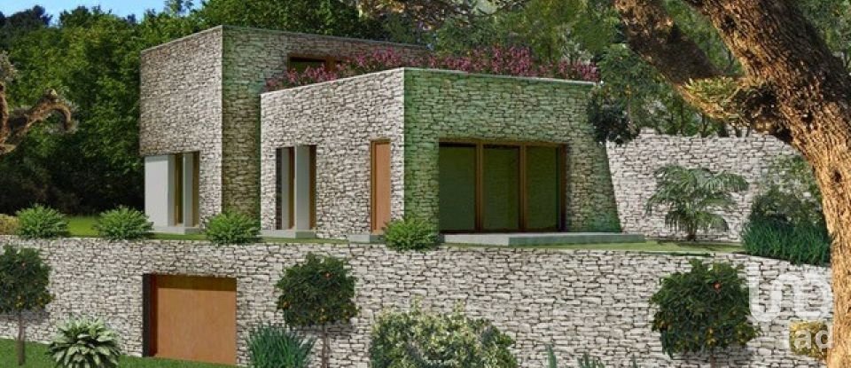 Land of 28,000 m² in Alassio (17021)