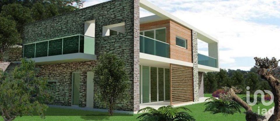 Land of 28,000 m² in Alassio (17021)