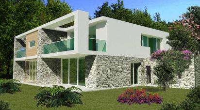 Terreno di 28.000 m² in Alassio (17021)