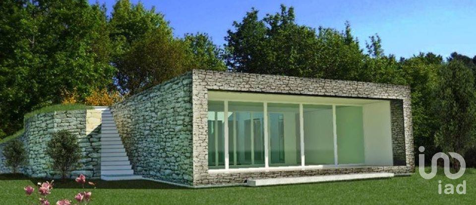 Land of 28,000 m² in Alassio (17021)