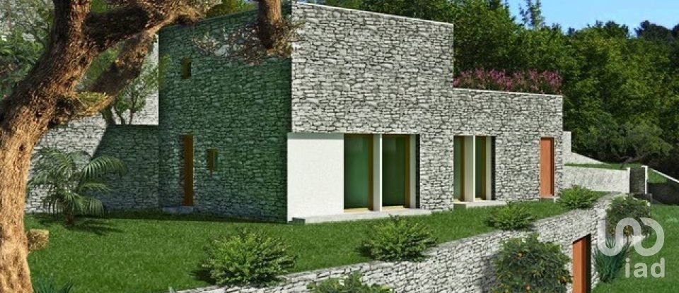 Land of 28,000 m² in Alassio (17021)