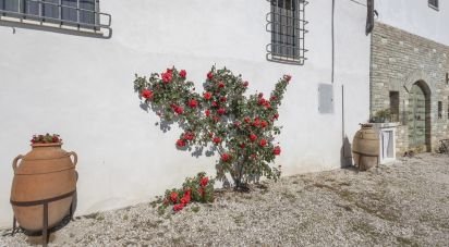 Villa storica 13 locali di 403 m² in Urbino (61029)
