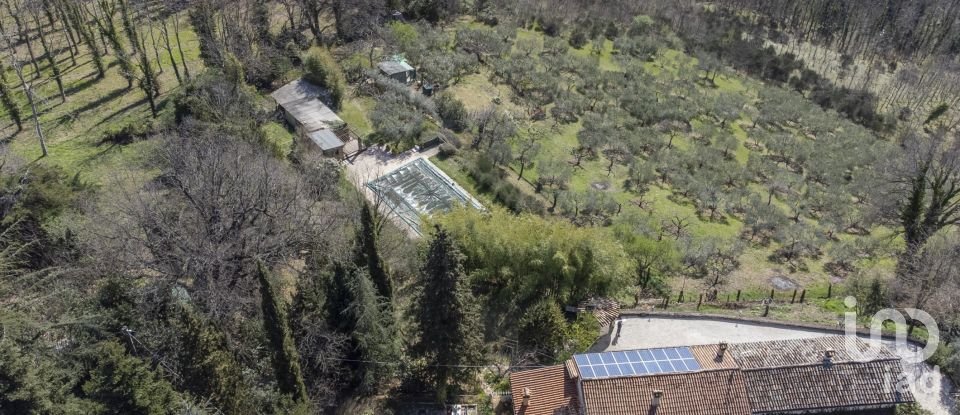 Villa storica 13 locali di 403 m² in Urbino (61029)