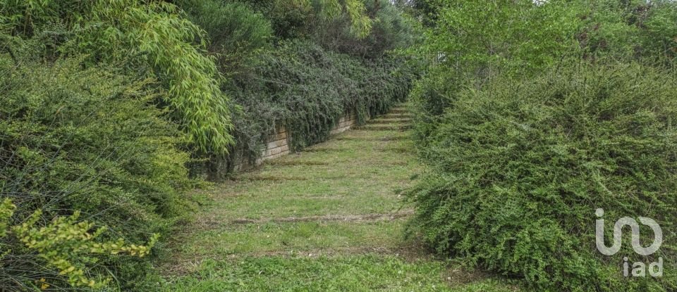 Villa storica 13 locali di 403 m² in Urbino (61029)