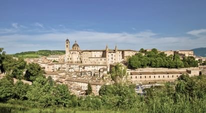 Villa storica 13 locali di 403 m² in Urbino (61029)