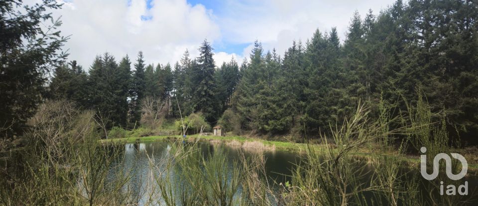 Casa indipendente 8 locali di 200 m² in Conflenti (88040)