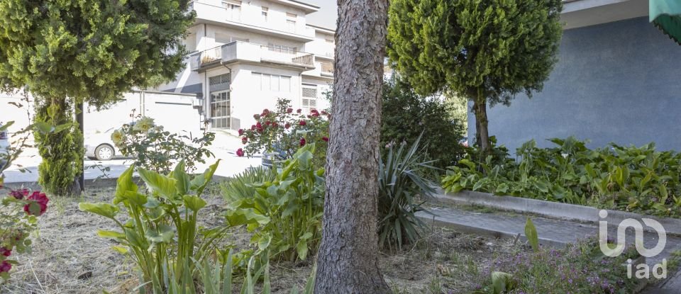 Negozio / locale commerciale di 230 m² in Ancona (60131)