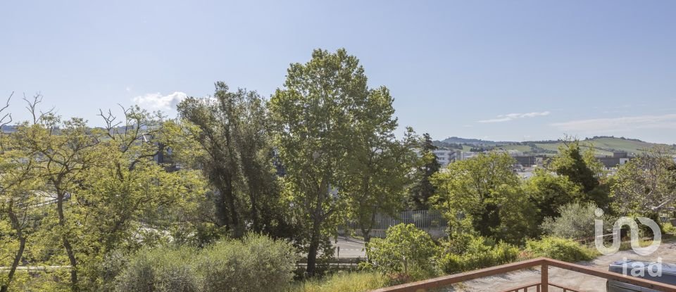 Negozio / locale commerciale di 230 m² in Ancona (60131)