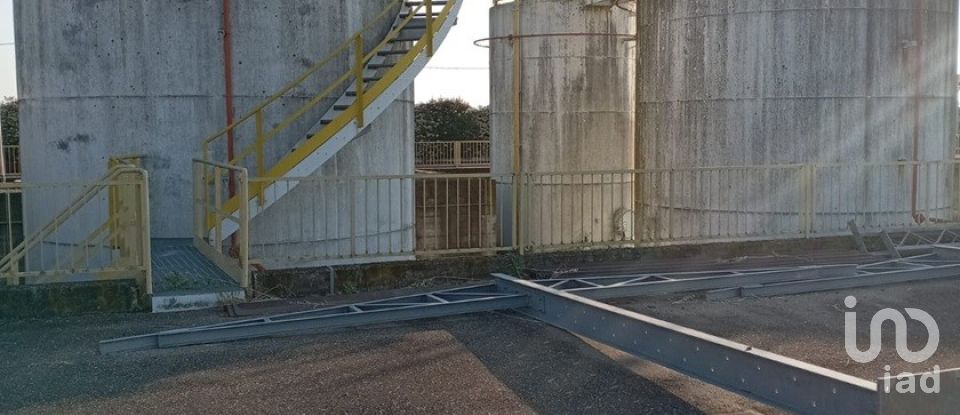 Varie superfici di 1.000 m² in Montechiarugolo (43030)