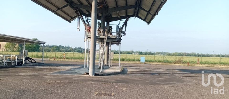 Varie superfici di 1.000 m² in Montechiarugolo (43030)