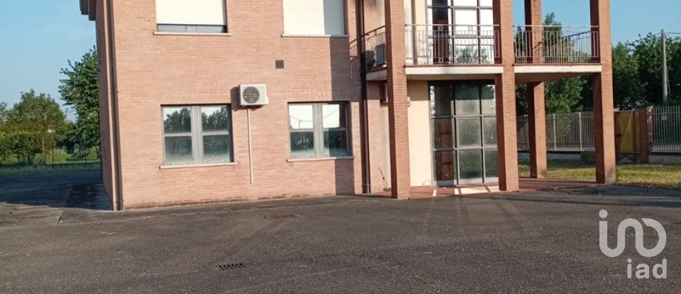 Varie superfici di 1.000 m² in Montechiarugolo (43030)