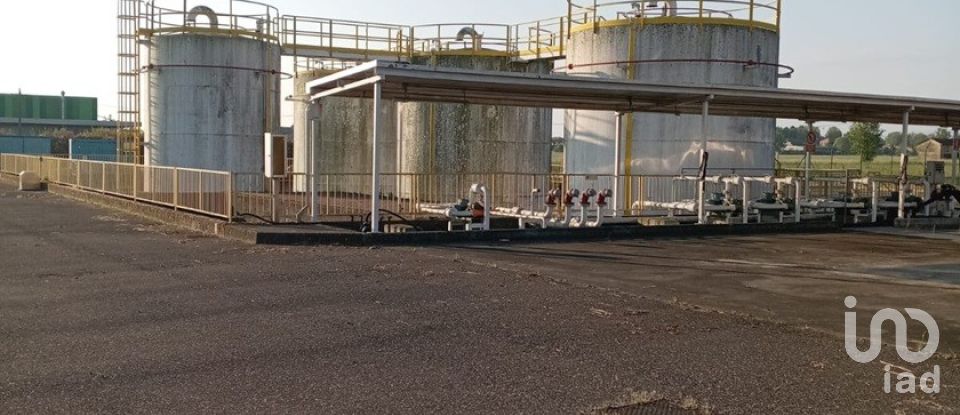 Varie superfici di 1.000 m² in Montechiarugolo (43030)