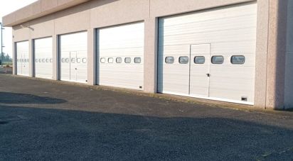 Varie superfici di 1.000 m² in Montechiarugolo (43030)