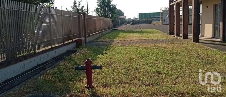 Varie superfici di 1.000 m² in Montechiarugolo (43030)