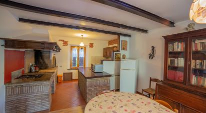 Rustico 0 locali di 370 m² in Morro d'Alba (60030)