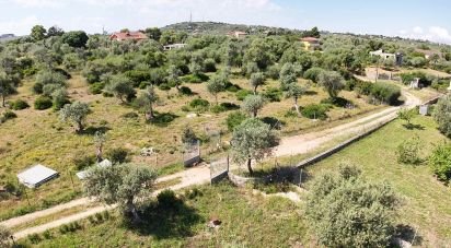 Land of 2,500 m² in Sassari (07100)