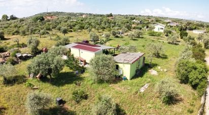Terreno di 2.500 m² in Sassari (07100)