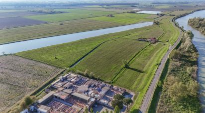 Terreno agricolo di 0 m² in Goro (44020)