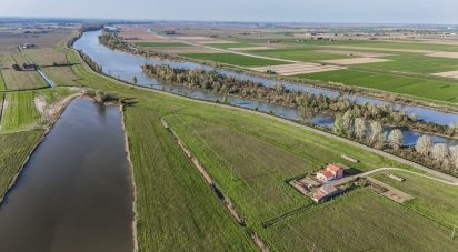 Terreno agricolo di 0 m² in Goro (44020)