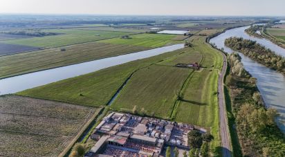 Terreno agricolo di 0 m² in Goro (44020)