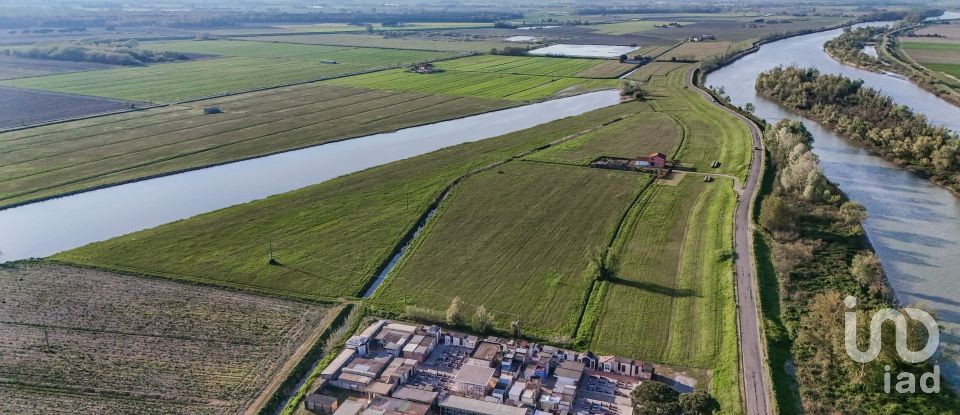 Terreno agricolo di 0 m² in Goro (44020)