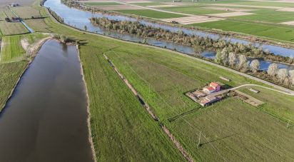 Terreno agricolo di 0 m² in Goro (44020)