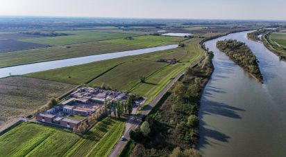 Terreno agricolo di 0 m² in Goro (44020)