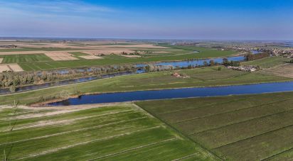 Terreno agricolo di 0 m² in Goro (44020)