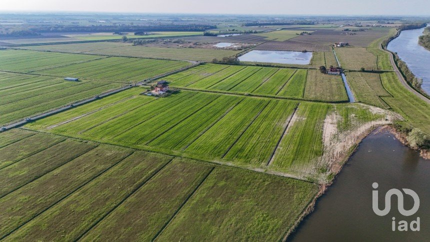 Terreno agricolo di 0 m² in Goro (44020)