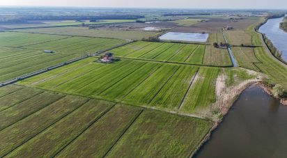 Terreno agricolo di 0 m² in Goro (44020)