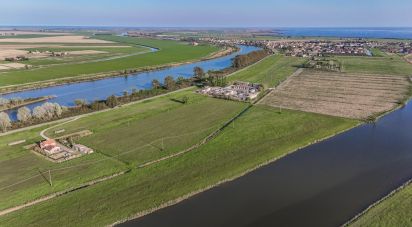 Terreno agricolo di 0 m² in Goro (44020)