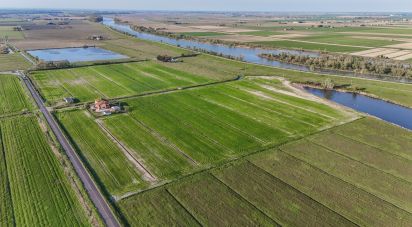 Terreno agricolo di 0 m² in Goro (44020)